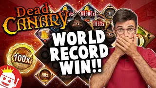 💥 DEAD CANARY WORLD RECORD MAX WIN 💣 MASSIVE $520,000 WIN!