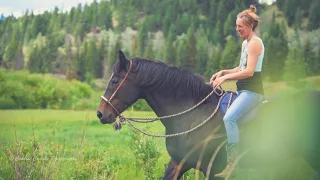 Whole Horse | Understanding the Masterson Method with Katey Campbell