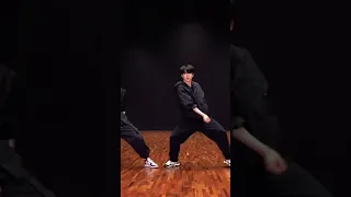 SUNGHOON (ENHYPEN) and CHA JUN HWAN'S (Figure Skater) " Black Swan (BTS) " dance practice video edit