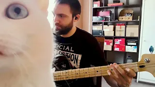 Descendents - Bikeage (bass cover)