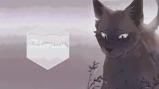 Пепелица:«Могила»//Коты Воители