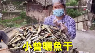 Lao Luo fished back a lot of fish. Xiao Zeng made dried fish and fried it. It was so delicious! Don