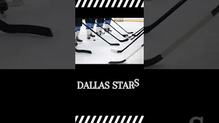 Dallas Stars vs Anaheim Ducks: nhl Score from last nights game, Oct. 19, 2023 #shorts