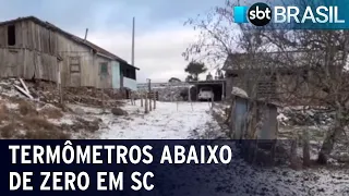 Pelo menos 100 cidades registraram temperaturas abaixo de zero | SBT Brasil (29/07/21)