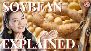 Health benefit of eating SOYBEANS | Soybean Explained