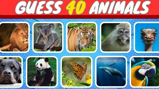 Guess 40 Animals in 3 Seconds | Easy, Medium, Hard, Impossible #quiz #animals #animalquiz