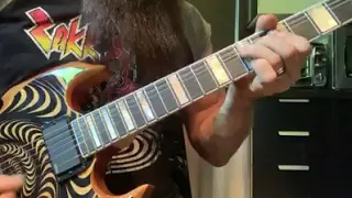 Zakk Wylde - November Rain Solo