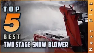 Top 5 Best Two Stage Snow Blower Review in 2024