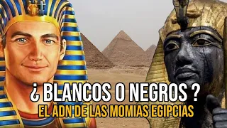 ¿ De qué raza eran los ANTIGUOS EGIPCIOS ?