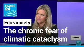 Eco-anxiety, the chronic fear of environmental cataclysm • FRANCE 24 English