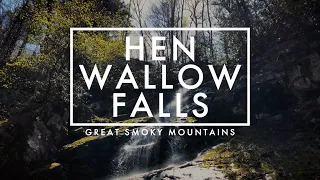 Hike to Hen Wallow Falls in Great Smoky Mountains National Park