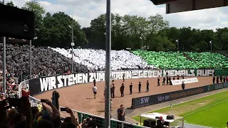 Preussen Münster vs 1.FC Köln Choreo