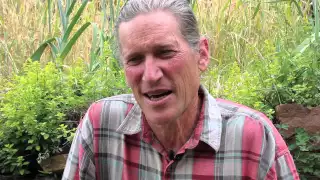 David Holmgren on Permaculture and Reading Landscape