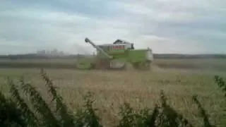 Ein Claas Dominator Mähdrescher bei der Ernte 2010