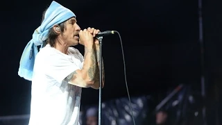 [HQ] Red Hot Chili Peppers - Dani California (Lollapalooza Argentina 2014)