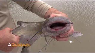 Catching Catfish at Utah Lake