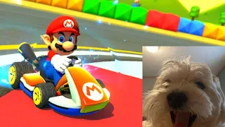 Gibby Plays Mario Kart