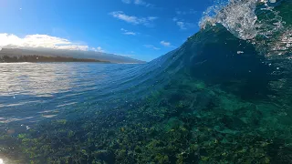 POV SURF - INSANE MORNING NUGZ