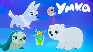 Умка  🐻‍❄️  Снежные цветы  🐻‍❄️  Добрые мультики для детей 👱‍♀️ Смешные мультфильмы 🎬 Даша ТВ