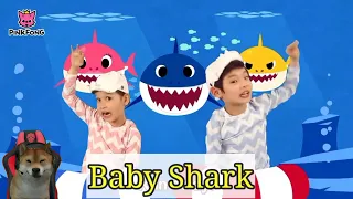 Baby Shark Dance || Menyanyi Dan Menari || Lagu Hewan || PINKFONG Lagu Untuk Anak anak ( Re upload )