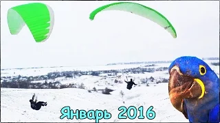 ПАРАПЛАН ЗИМОЙ /ПЕРВЫЕ ПОЛЕТЫ в ЯНВАРЕ 2016 - ДИНАМИК