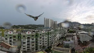 360 Roof Test. Rainy Day. Insta360 X4. 8K.