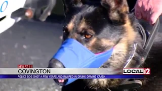 Police K-9 returns home after being injured while on duty