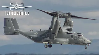 USAF Bell-Boeing CV-22B Osprey Tilt Rotor Startup & Departure from Tri-Cities Airport (TRI) 10Mar22