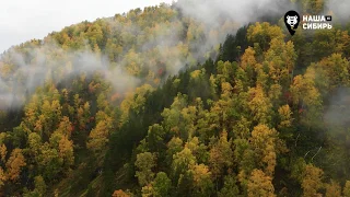 Наша Сибирь 4К: Тропами древних скифов