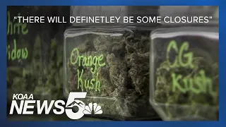 Colorado Springs medical marijuana industry to decline