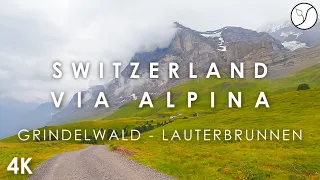 Via Alpina Switzerland - Stage 11 - Grindelwald to Lauterbrunnen (on foot and by train) - 4K