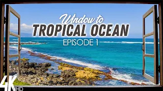 8 HRS Tropical Ocean View + Birds Chirping & Ocean Sounds - 4K Window to Hawaii Scenery - Episode #1