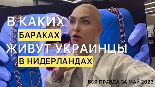 Куда вывезли украинцев из отеля в Голландии май 2023?