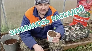 Пока занимаюсь рассадой...