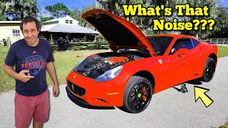 I Bought a Cheap Wholesale Ferrari and it came with a Strange Noise...