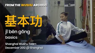 Basics | Shanghai Wushu Team | Dec-2012 Martial Arts Training