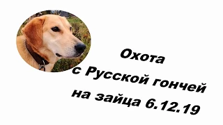 Охота с Русской гончей на зайца 6 12 19