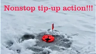 Nonstop Tip-up action! Ice fishing 2016-2017