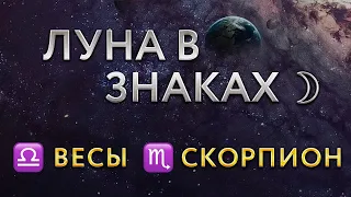 ЛУНА В ЗНАКАХ ЗОДИАКА. Луна в Весах, Скорпионе. Астролог Алла Суходольская.