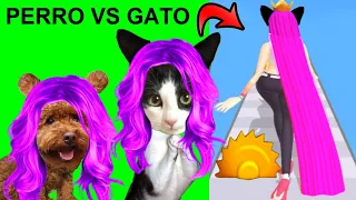 Hair Challenge pero gato vs perro jugando con gatitos Luna y Estrella / Videos de animales graciosos