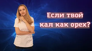 Что делать если кал похож на орех или шарики?