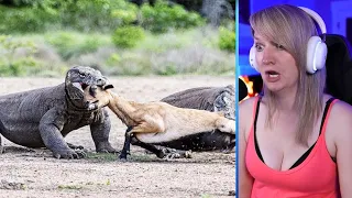 15 Merciless Komodo Dragons Swallowing Animals Part 2 | Pets House