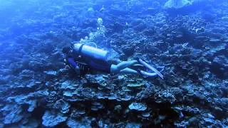 Scuba Diving in Addu Atoll, Maldives