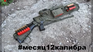 #месяц12калибра