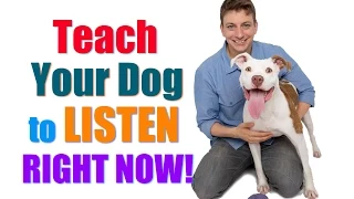 How to Get Your UNFOCUSED Dog to LISTEN to You RIGHT NOW!  ("Leave it"/"Look at Me" Combo)