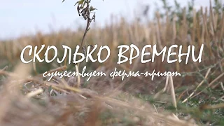 ФЕРМА-ПРИЮТ для КОРОВ "БХУМИ": Сколько лет существует ферма?