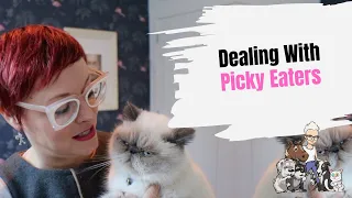 Episode 43: Dealing With Picky Eaters - The Cat Edition