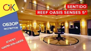 Sentido Reef Oasis Senses 5* ЕГИПЕТ, Шарм эль Шейх - обзор и отзыв об отеле
