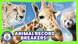 A day out with animal record breakers! - Guinness World Records