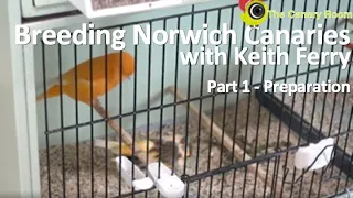 Breeding Norwich Canaries with Keith Ferry - Part 1 Preparation for Breeding